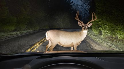 L'évitement d'urgence : un système qui reprend le volant de votre voiture et évite les obstacles