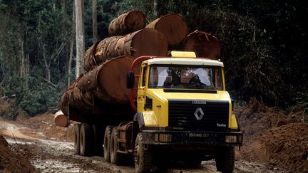 Camion forestier dans la forêt vierge du Congo. Photo prise le 29 mai 2006. Le recul de la forêt tropicale&nbsp;se poursuit de manière accélérée selon un rapport de la Fao. (Michel Gunther / Biosphoto / Biosphoto via AFP)