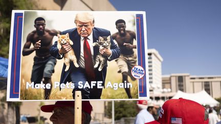 Un manifestant brandit une image générée par l'IA de Donald Trump emportant des chats loin des immigrants haïtiens, en référence aux mensonges répandus à propos de Springfield, Ohio, le 12 septembre 2024. (REBECCA NOBLE / AFP)