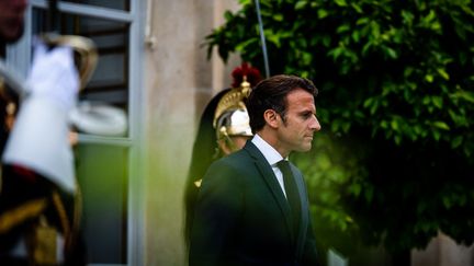 Emmanuel Macron dans les jardins de l'Elysée, à Paris, le 20 juillet 2022. (XOSE BOUZAS / HANS LUCAS / AFP)