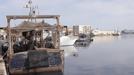 Hérault : à Sète, des habitants et pêcheurs inquiets face aux températures élevées (France 2)