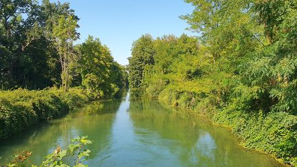 Sur cette portion au centre de l'Alsace, le canal du Rhin au Rhône n'est plus exploité depuis les années 1960. (BORIS HALLIER / RADIOFRANCE)