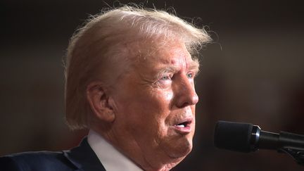 Former President Donald Trump speaks during a campaign rally on July 31, 2024, in Harrisburg, Pennsylvania. (SPENCER PLATT / AFP)