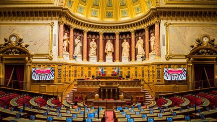 The Senate hemicycle at the Palais du Luxembourg in Paris, September 22, 2020. (JEAN-FRANCOIS FERNANDEZ / RADIOFRANCE)