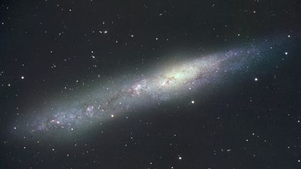 Galaxie NGC 55. (ANGLO-AUSTRALIAN OBSERVATORY/DAV)