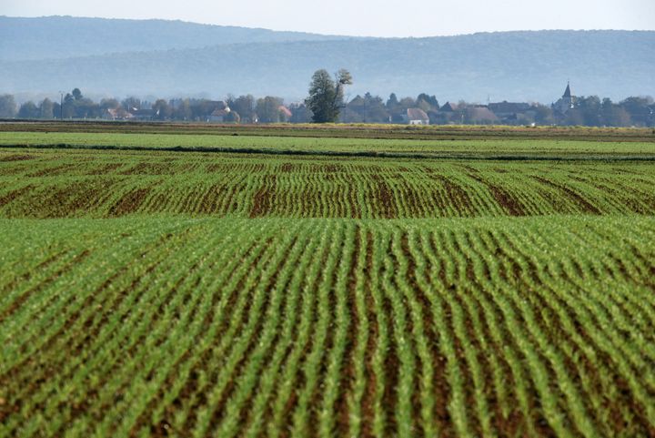 Paysage de terres agricoles dans le Val d'Amour dans le Jura, en octobre 2017. (MAXPPP)