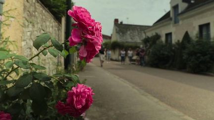 Indre-et-Loire : le village de Chédigny comporte plus de rosiers que d’habitants (France 2)