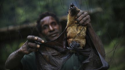 En Papouasie-Nouvelle-Guinée, la tribu Yangoru Boiken attrape les chauves-souris en plaçant d'énormes filets pour piéger les animaux lorsqu'ils volent la nuit. (TIMOTHY ALLEN / THE IMAGE BANK UNRELEASED)