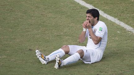 L'attaquant uruguayen Luis Suarez, le 24 juin 2014 &agrave; Natal (Br&eacute;sil). (OMAR MARTINEZ / MEXSPORT / AFP)