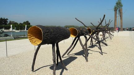 Giuseppe Penone expose dans le château de Versailles et ses jardins. Au permier plan, "Spazio di luce". Dans le fond, "Tra scorza et scorza" (6 juin 2013)
 (Photo Valérie Oddos / Culturebox / France Télévisions)