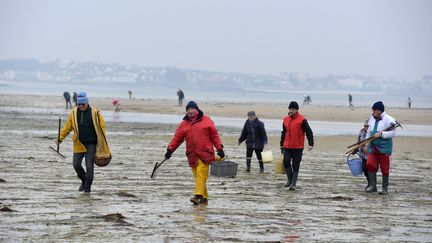 &nbsp;Pour cause de grandes marées, les préfectures du Calvados, de la Seine-Maritime, du Finistère et du Morbihan appellent les pêcheurs à pied à la plus grande vigilance. (VINCENT MOUCHEL / MAXPPP)