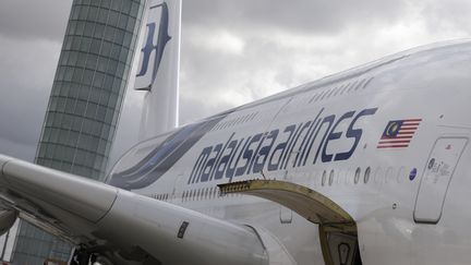 Un avion de Malaysia Airlines, le 18 ao&ucirc;t 2014, &agrave; Roissy-Charles de Gaulle.&nbsp; (KENZO TRIBOUILLARD / AFP)