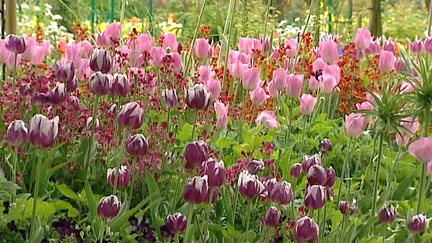 Le jardin de Giverny dans l'Eure accueille chaque année 600 000 visiteurs
 (France 3 / Culturebox)