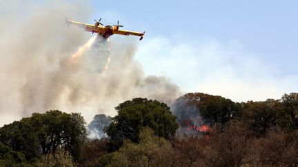 Un incendie près d'Ajaccio, le 4 juillet 2017. (LUCCIONI MICHEL / MAXPPP)