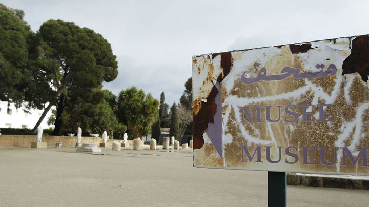 Une vue g&eacute;n&eacute;rale du site arch&eacute;ologique de Carthage, pr&egrave;s de Tunis, le 10 f&eacute;vrier 2013. (ZOUBEIR SOUISSI / REUTERS)