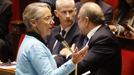 La Première ministre, Elisabeth Borne, à l'Assemblée nationale, le 28 novembre 2023. (LUDOVIC MARIN / AFP)