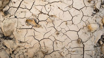 La réserve halieutique dans le fleuve Tet, à Perpignan (Pyrénées-Orientales), le 9 octobre 2023. (JC MILHET / HANS LUCAS / AFP)