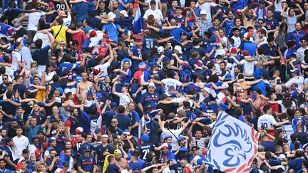 Les supporters français se congratulent après l'égalisation contre la Hongrie lors du deuxième match de l'Euro 2020, samedi 19 juin à Budapest.&nbsp;&nbsp; (ZENTRALBILD / PICTURE ALLIANCE / DPPI via AFP)