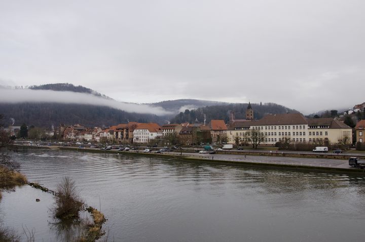 La ville d'Eberbach (Allemagne), le 5 février 2017. (THOMAS BAIETTO / FRANCEINFO)