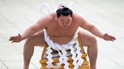 Hakuho, star japonaise du sumo, le 6 janvier 2017 à Tokyo. Photo d'illustration. (BEHROUZ MEHRI / AFP)