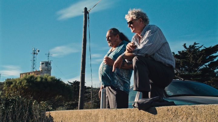 Francis Soetens et Rodolphe Burger dans le film "L'Autre Laurens". (WRONG MEN / CHEVAL DEUX TROIS)