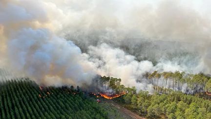 Le feu à Landiras, au sud de la Gironde. (SDIS 33)