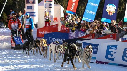 Un musher et ses chiens de tra&icirc;neaux au d&eacute;part de la Grande Odyss&eacute;e, le 12 janvier 2014. (CITIZENSIDE / CYRIL LITCHI / AFP)