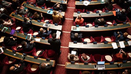 Une séance de questions au gouvernement, le 20 janvier 2021 au Sénat. (XOSE BOUZAS / HANS LUCAS / AFP)