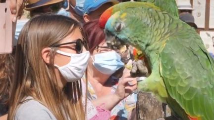 Le&nbsp;Bioparc&nbsp;de Doué-la-Fontaine&nbsp;(Maine-et-Loire)&nbsp;vient d’être élu deuxième meilleur zoo d’Europe. (FRANCE 3)