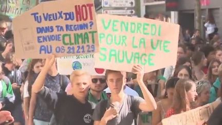 Vendredi 20 septembre, adultes et jeunes se sont rassemblés pour défendre le climat à Paris et en région. (FRANCE 3)