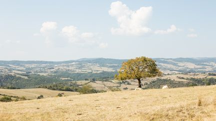 Une vue de Cordelle (Loire), le 16 septembre 2020. (VERONIQUE POPINET / HANS LUCAS / AFP)