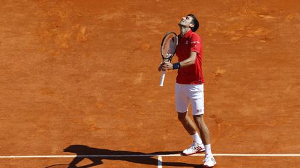 La déception du Serbe Novak Djokovic (VALERY HACHE / AFP)