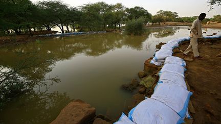 Il s’est immédiatement rendu sur place avec huit inspecteurs et trois volontaires, avec lesquels il a fait ériger deux digues de sacs de sable avant de pomper l’eau. Quelques jours plus tard, le Nil a reculé et le danger a été écarté. "Il n'y a eu aucun dommage. Nous sommes arrivés au bon moment et nous sommes intervenus rapidement. Nous avons protégé les bains et aussi l'ancien mur d'enceinte construit en grès et donc susceptible d'être érodé si l'eau stagne trop longtemps", a dit M. Suleiman.&nbsp; (ASHRAF SHAZLY / AFP)