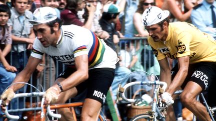 Le cycliste Bernard Thévenet portant le maillot jaune arrive le 20 juillet 1975 sur les Champs-Elysées à Paris lors de la dernière étape du Tour de France avec Eddy Merckx (en blanc).&nbsp; (AFP)