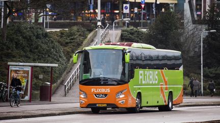 Un bus Flixbus en décembre 2016. (PIROSCHKA VAN DE WOUW / ANP)