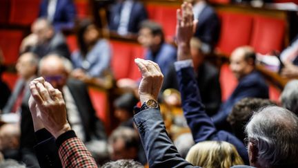 Des députés votent à main levée à l'Assemblée nationale. (THOMAS PADILLA / MAXPPP)