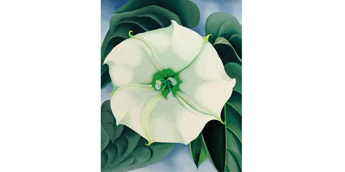 "Jimson Weed/White Flower No. 1" de Georgia O'Keeffe
 (AP/Sipa)