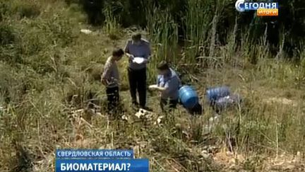 Capture d'&eacute;cran des images de la cha&icirc;ne russe NTV sur la d&eacute;couverte de f&oelig;tus dans une for&ecirc;t de l'Oural, le 24 juillet 2012. (NTV / FTVI)