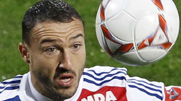 Le milieu de terrain lyonnais Steed Malbranque lors du match Lyon-Bastia le 4 novembre 2012.&nbsp; (LAURENT CIPRIANI / AP / SIPA)