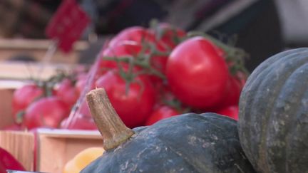 Températures : c’est toujours l’été dans les potagers