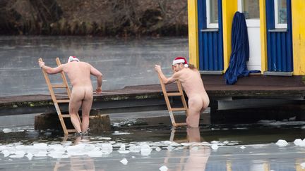 Les "phoques de Berlin" se baignent le 25 d&eacute;cembre 2012.&nbsp; (JOERG CARSTENSEN / DPA)