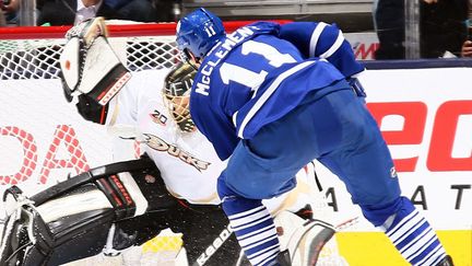 Jay McClement (Toronto Maple Leafs) et Jonas Hiller (Anaheim Ducks) (ABELIMAGES / GETTY IMAGES NORTH AMERICA)