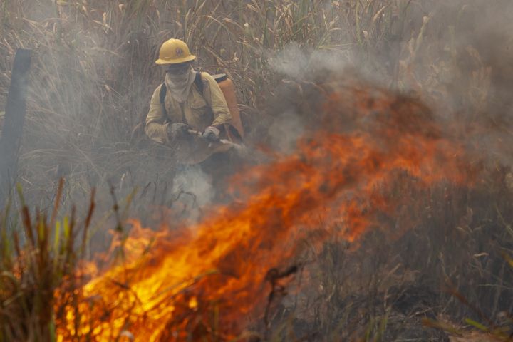 Des pompiers éteignant un feu sur la commune&nbsp;Novo Progresso, dans le nord du Brésil, le 21 août 2020, malgré le décret interdisant les brûlis agricoles. (ERNESTO CARRICO / NURPHOTO)