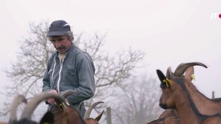 Tour d’horizon du profil des fermes françaises ces dernières années. (France 2)