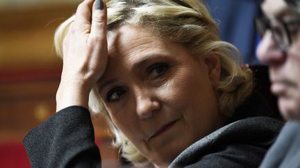 Marine Le Pen, à l'Assemblée nationale. (BERTRAND GUAY / AFP)