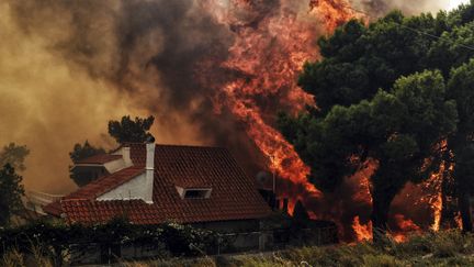 Une maison menacée par le feu à Kineta, près d'Athènes, le 23 juillet 2018. (VALERIE GACHE / AFP)