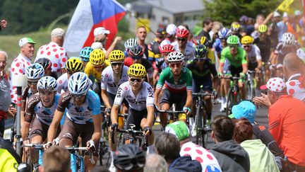 Le peloton du Tour de France 2017 sur la route de la 9e étape entre Nantua et Chambéry. (DE WAELE TIM / TDWSPORT SARL)