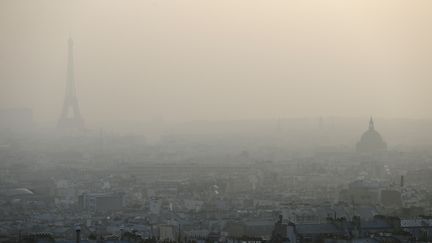 Paris dans un nuage de particules fines, le 11 mars 2014. (PATRICK KOVARIK / AFP)