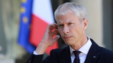 Le ministre de la Culture, Franck Riester, à l'Elysée, le 6 mai 2020. (LUDOVIC MARIN / POOL)