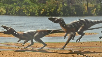 Illustration d'Alain Bénéteau, "Sur la trace des dinosaures à plumes", (Ed. Belin jeunesse)
 (France 3/Culturebox / capture d&#039;écran)